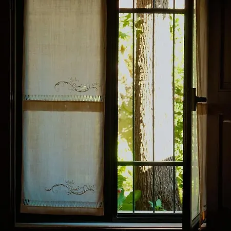 Dom wakacyjny Casa De Pias With Private Indoor Pool - Country House, Near Porto