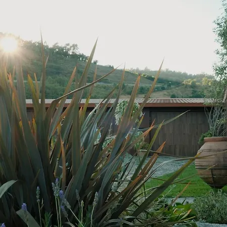 Dom wakacyjny Casa De Pias With Private Indoor Pool - Country House, Near Porto Idaes